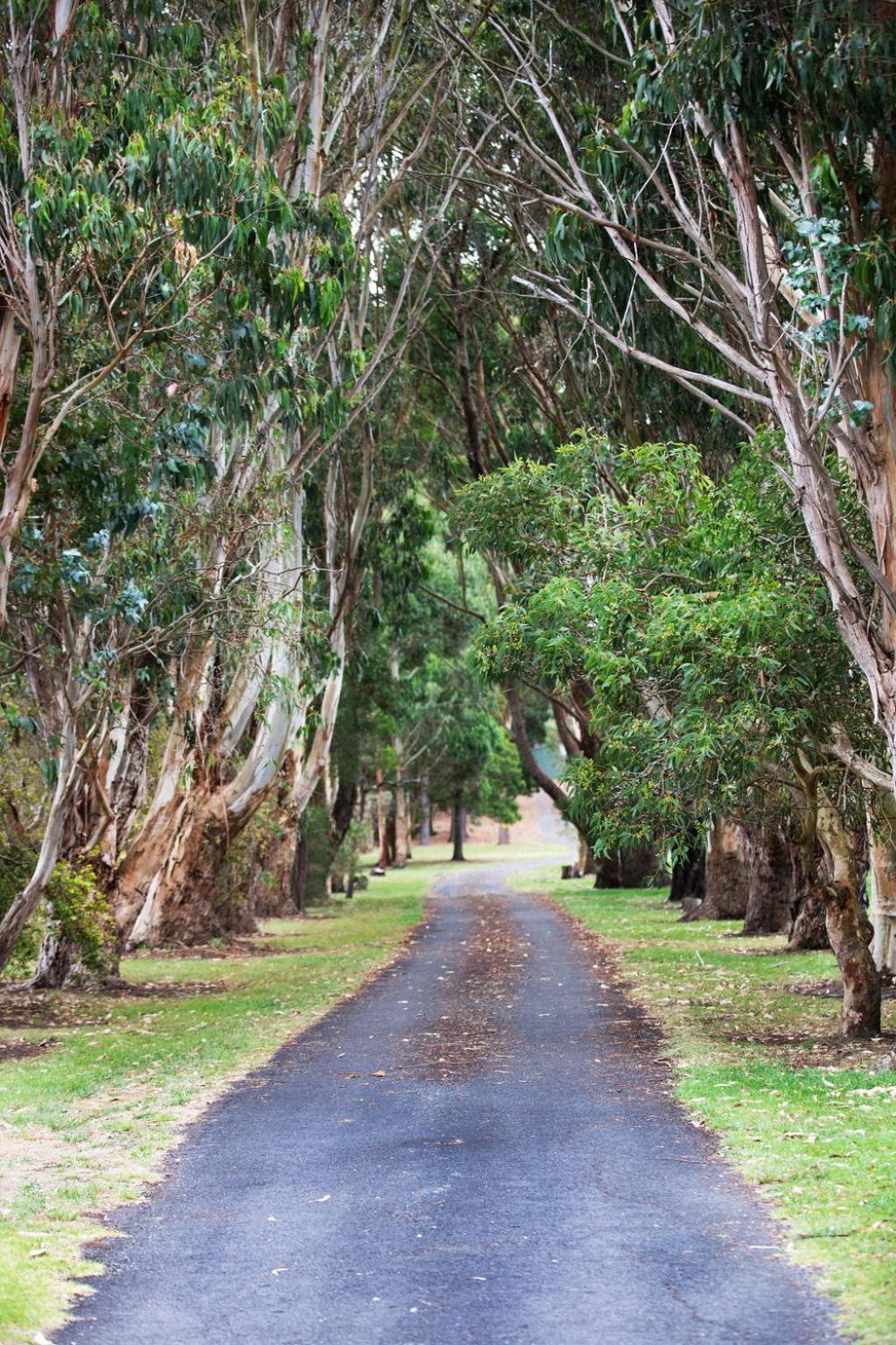 Clarendon Chalets Mount Gambier Kültér fotó