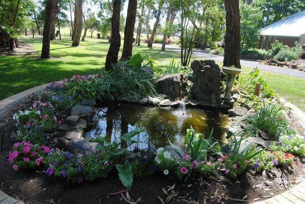Clarendon Chalets Mount Gambier Kültér fotó